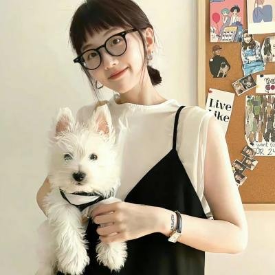 秘密访客